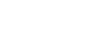 Ansys