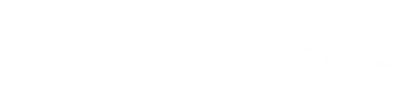 DMC Digital Motor Control