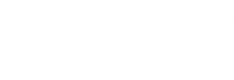 Elesa